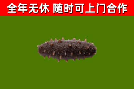 梁河县烟酒回收干海参.jpg